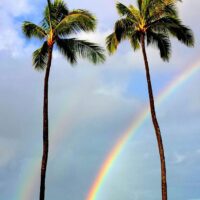hawaii rainbow