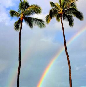 hawaii rainbow