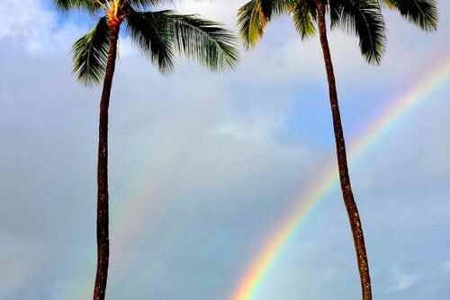 hawaii rainbow